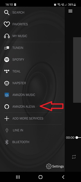 Alexa-activate-Holist1.jpg